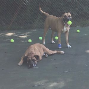 Meet your Posher, Elaine